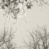 Herbst-Winter9-mono